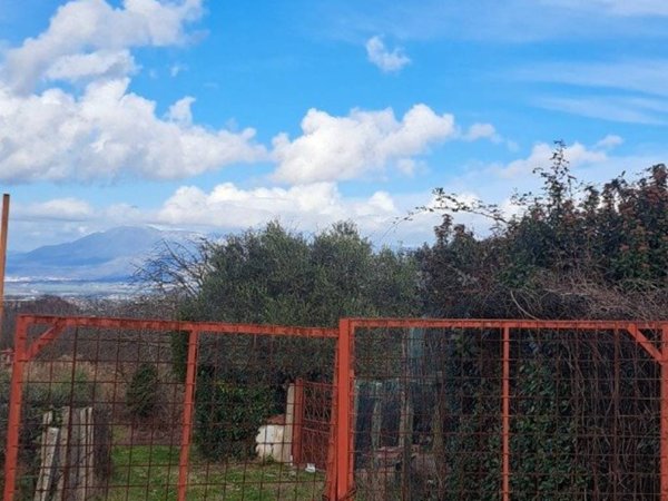 terreno agricolo in vendita a San Cesareo