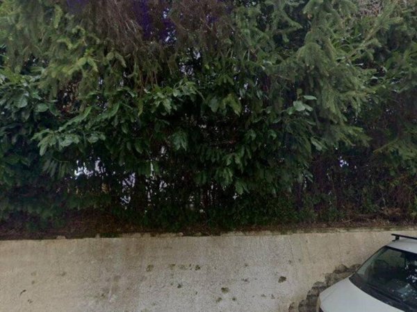 appartamento in vendita a San Cesareo