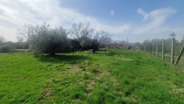 appartamento in vendita a San Cesareo