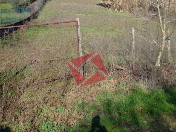 terreno agricolo in vendita a San Cesareo in zona Colle di Fuori