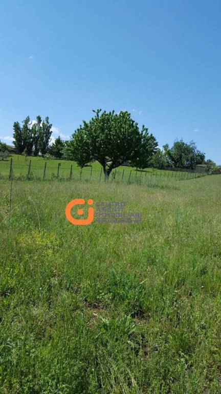 terreno agricolo in vendita a San Cesareo