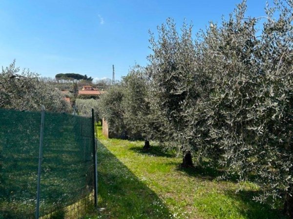 terreno agricolo in vendita a San Cesareo