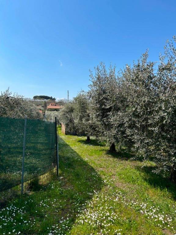 terreno agricolo in vendita a San Cesareo