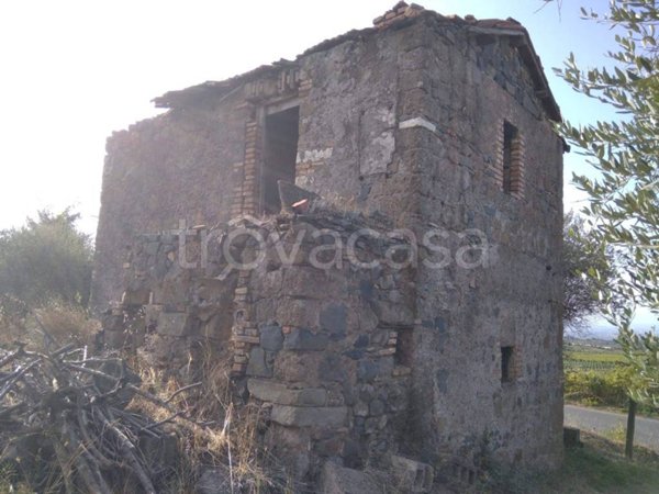 terreno agricolo in vendita a San Cesareo