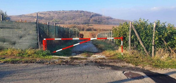 terreno agricolo in vendita a San Cesareo