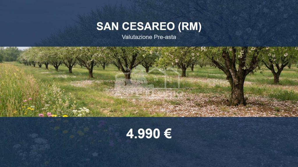 terreno agricolo in vendita a San Cesareo in zona Colle di Fuori