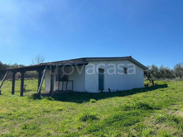 appartamento in vendita a San Cesareo