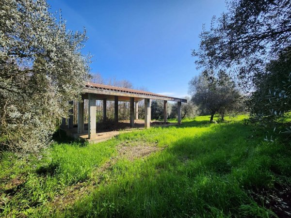 appartamento in vendita a San Cesareo