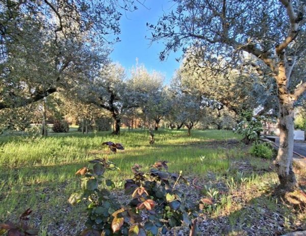 casa indipendente in vendita a San Cesareo