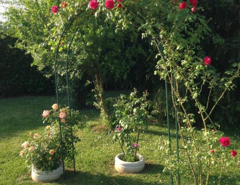 casa indipendente in vendita a San Cesareo