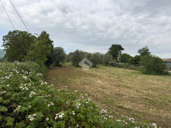 terreno agricolo in vendita a San Cesareo