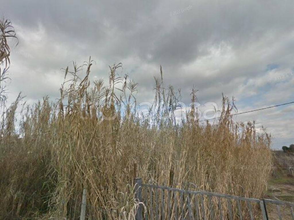 appartamento in vendita a San Cesareo