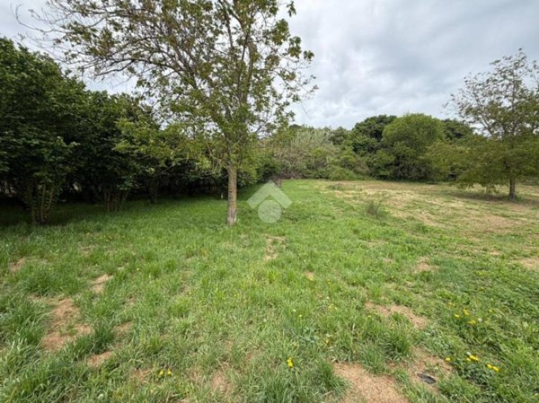 terreno agricolo in vendita a San Cesareo