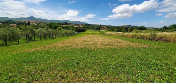 terreno agricolo in vendita a San Cesareo