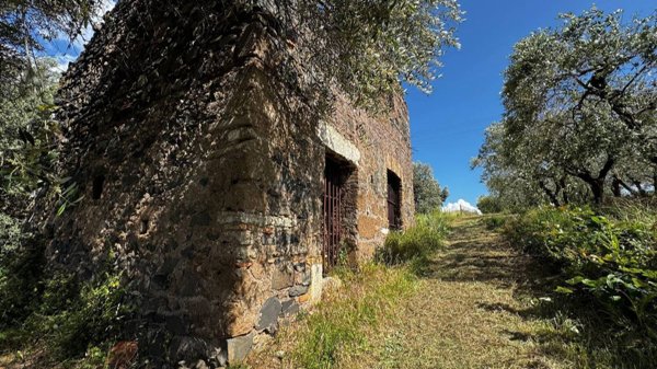 appartamento in vendita a San Cesareo