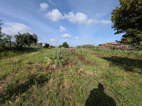 terreno agricolo in vendita a San Cesareo