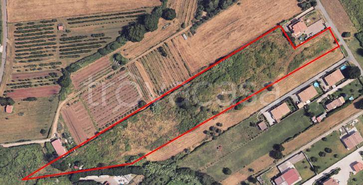 terreno agricolo in vendita a San Cesareo in zona Colle di Fuori