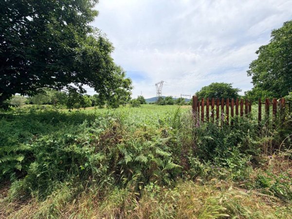 terreno agricolo in vendita a San Cesareo in zona Colle San Pietro