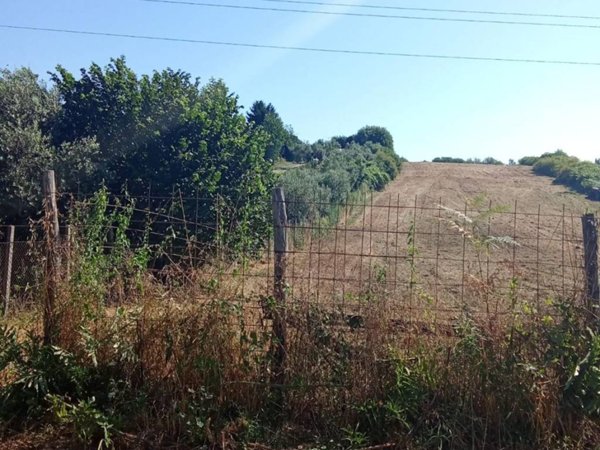 terreno agricolo in vendita a San Cesareo in zona Colle di Fuori