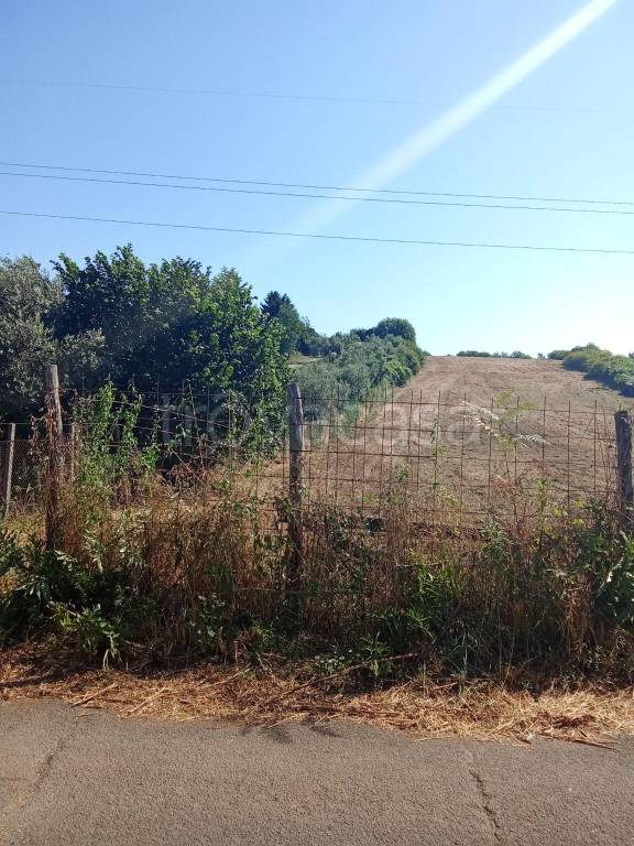 terreno agricolo in vendita a San Cesareo in zona Colle San Pietro