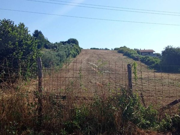terreno agricolo in vendita a San Cesareo in zona Colle San Pietro