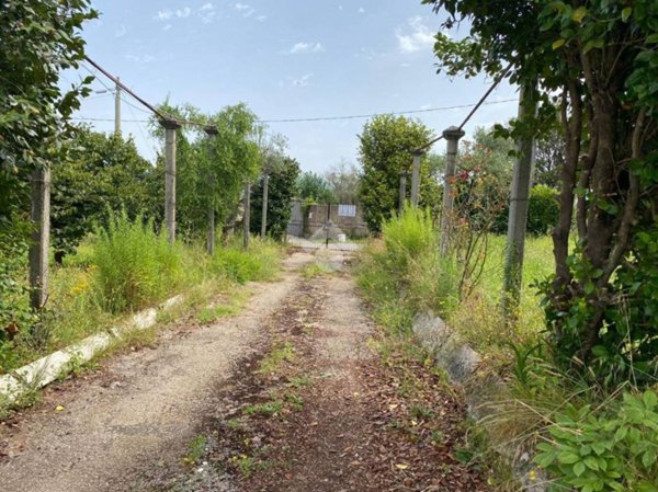 casa indipendente in vendita a San Cesareo in zona Colle di Fuori