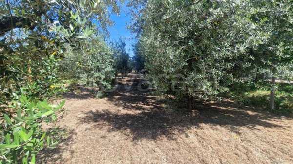appartamento in vendita a San Cesareo in zona Colle di Fuori