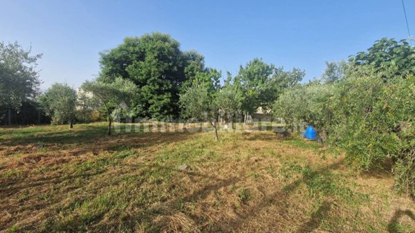 terreno agricolo in vendita a San Cesareo in zona Campo Gillaro