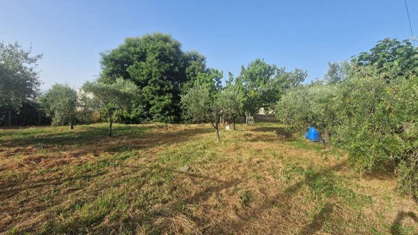 terreno agricolo in vendita a San Cesareo in zona Campo Gillaro