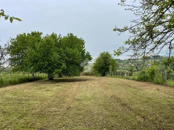 terreno agricolo in vendita a San Cesareo in zona Colle di Fuori