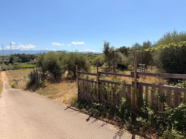 terreno agricolo in vendita a San Cesareo