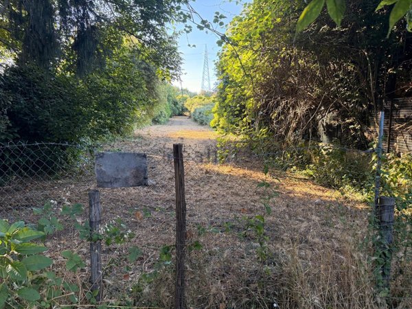 terreno agricolo in vendita a San Cesareo in zona Campo Gillaro