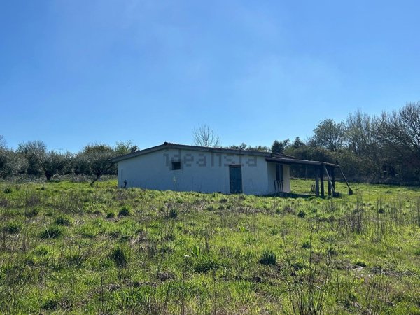 appartamento in vendita a San Cesareo in zona Colle San Pietro