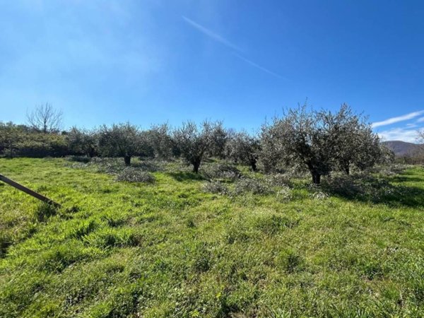 appartamento in vendita a San Cesareo in zona Colle San Pietro