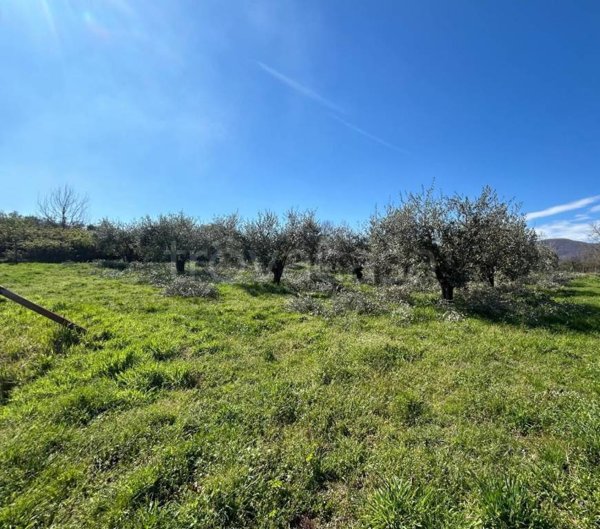 appartamento in vendita a San Cesareo in zona Colle San Pietro
