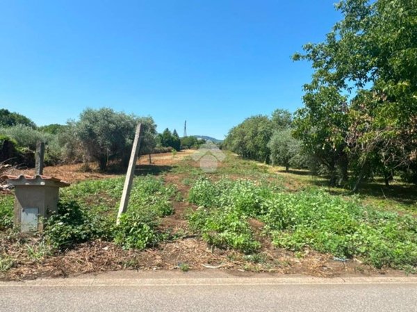 terreno agricolo in vendita a San Cesareo in zona Campo Gillaro