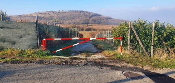 terreno agricolo in vendita a San Cesareo