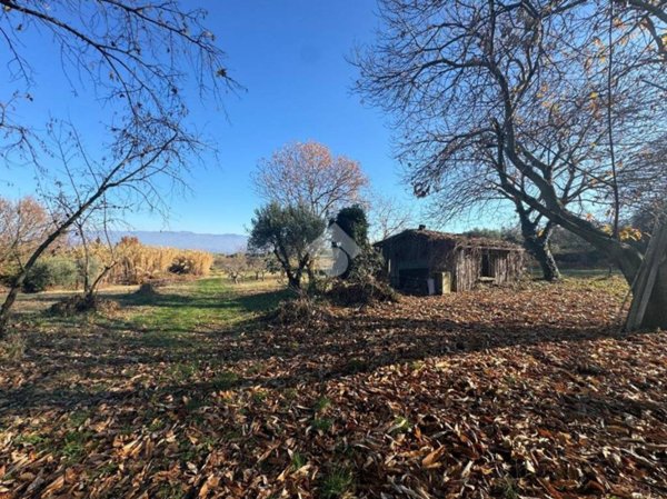 terreno agricolo in vendita a San Cesareo in zona Campo Gillaro