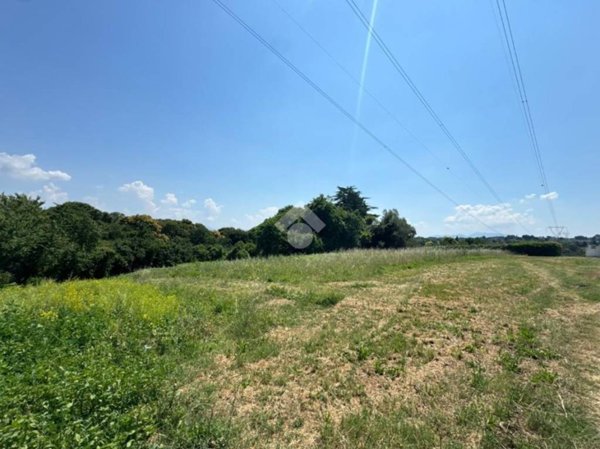terreno agricolo in vendita a San Cesareo in zona Colle di Fuori