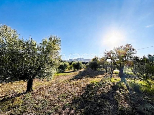terreno in vendita a San Cesareo in zona Campo Gillaro
