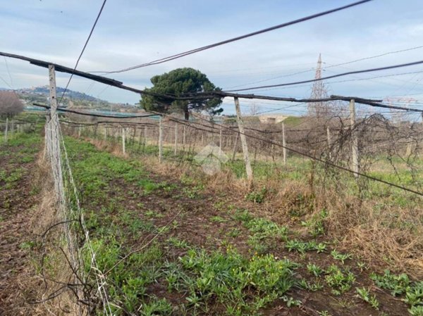 terreno in vendita a San Cesareo