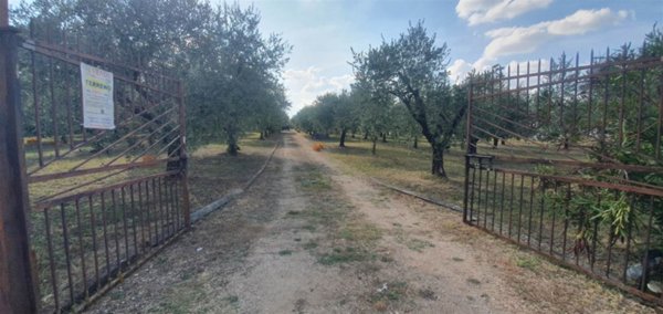 terreno in vendita a San Cesareo