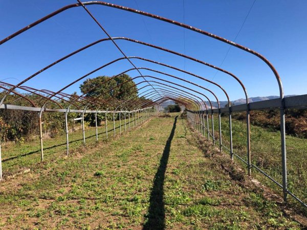 terreno in vendita a San Cesareo in zona Colle San Pietro
