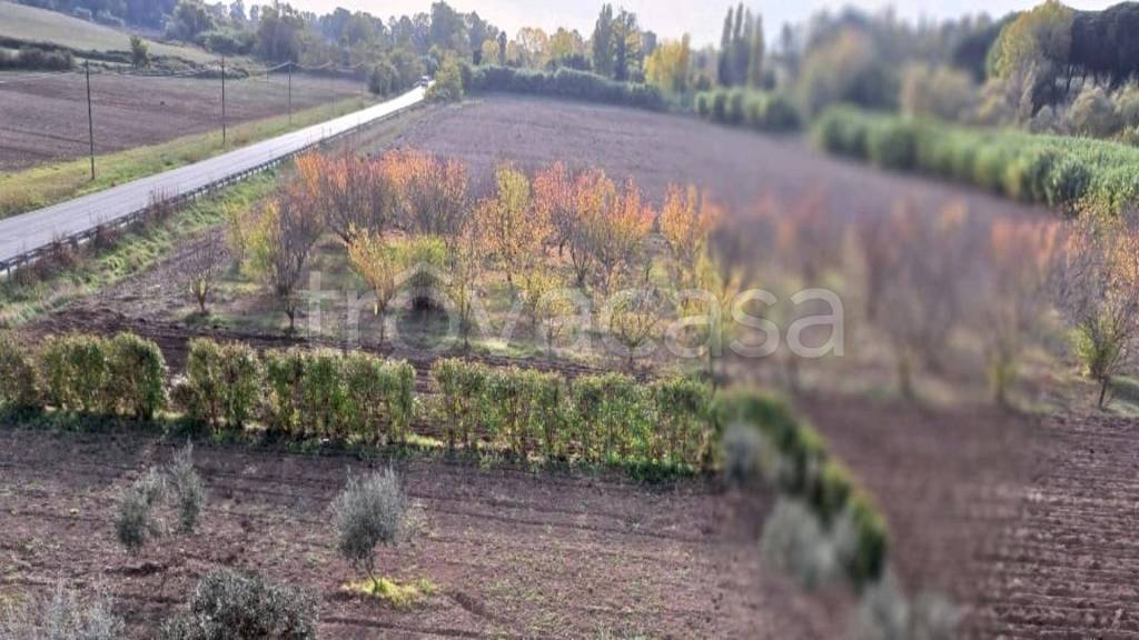 terreno agricolo in vendita a Fiumicino in zona Aranova