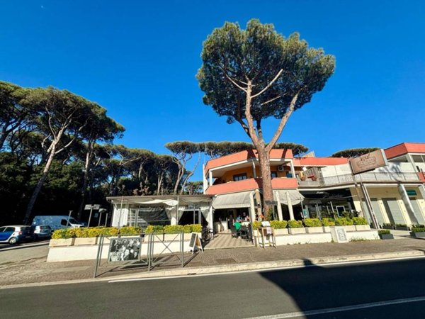 negozio in vendita a Fiumicino in zona Fregene