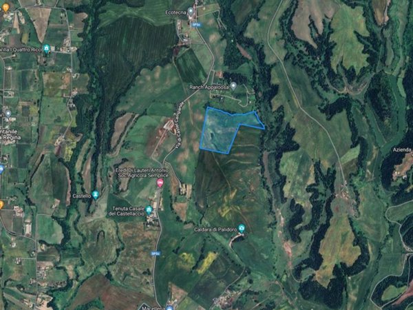 terreno agricolo in vendita a Fiumicino in zona Testa di Lepre