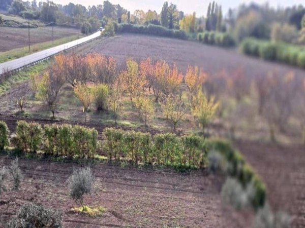 terreno agricolo in vendita a Fiumicino in zona Tragliata