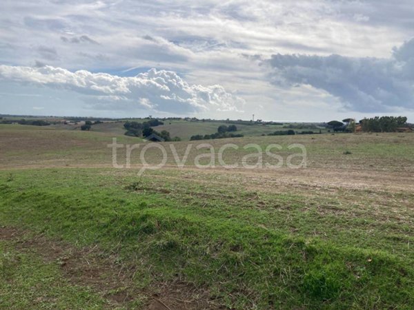 terreno agricolo in vendita a Fiumicino in zona Tragliata