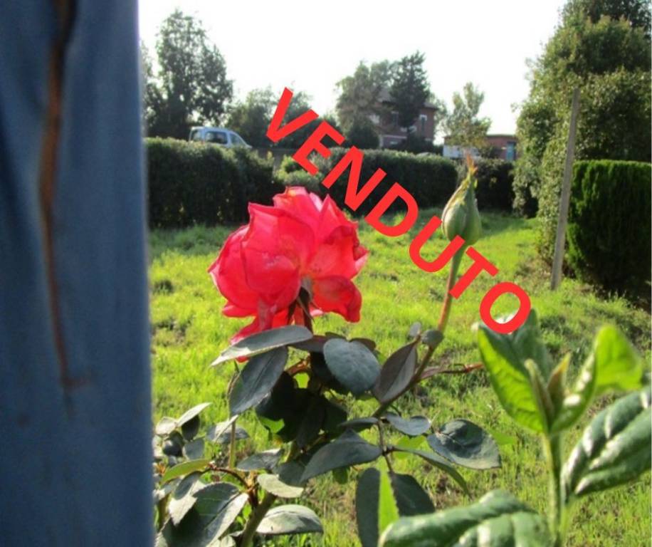 casa indipendente in vendita a Fiumicino in zona Aranova