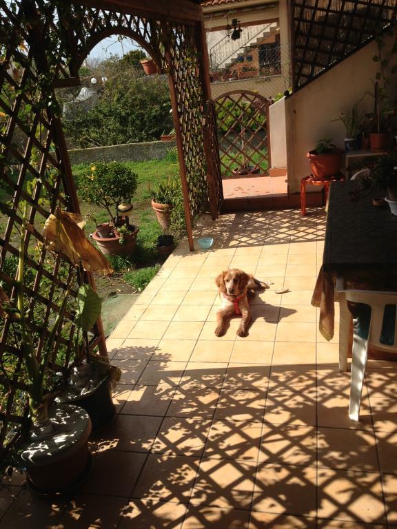 casa indipendente in vendita a Fiumicino in zona Isola Sacra